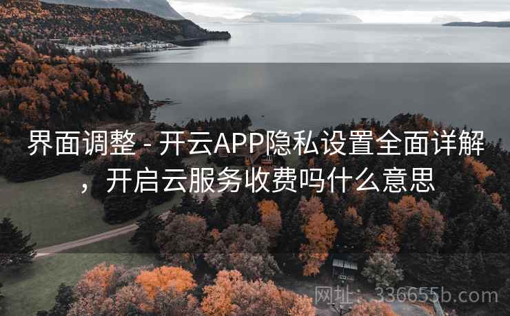 界面调整 - 开云APP隐私设置全面详解，开启云服务收费吗什么意思  第2张