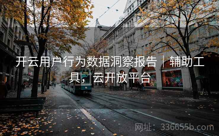 开云用户行为数据洞察报告｜辅助工具，云开放平台